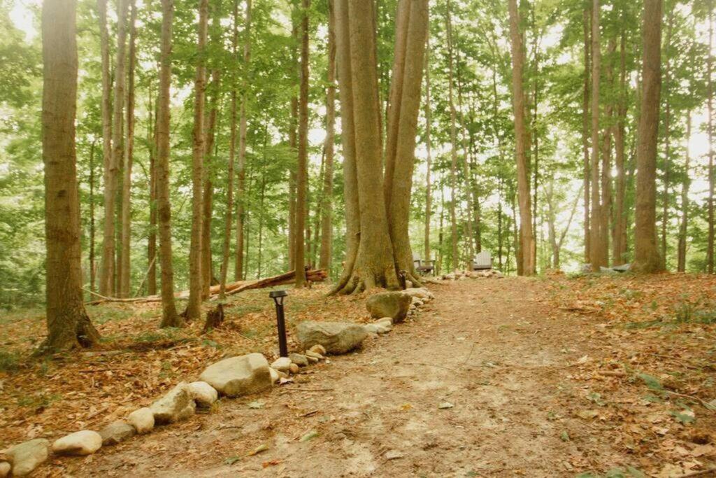 فيلا Wilderness Vista Retreat Reed City المظهر الخارجي الصورة