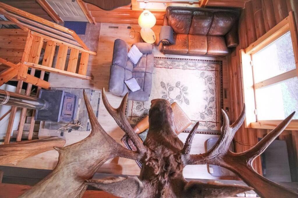 فيلا Wilderness Vista Retreat Reed City المظهر الخارجي الصورة